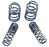 Ford Racing 2007-2014 Mustang Shelby GT500 Springs