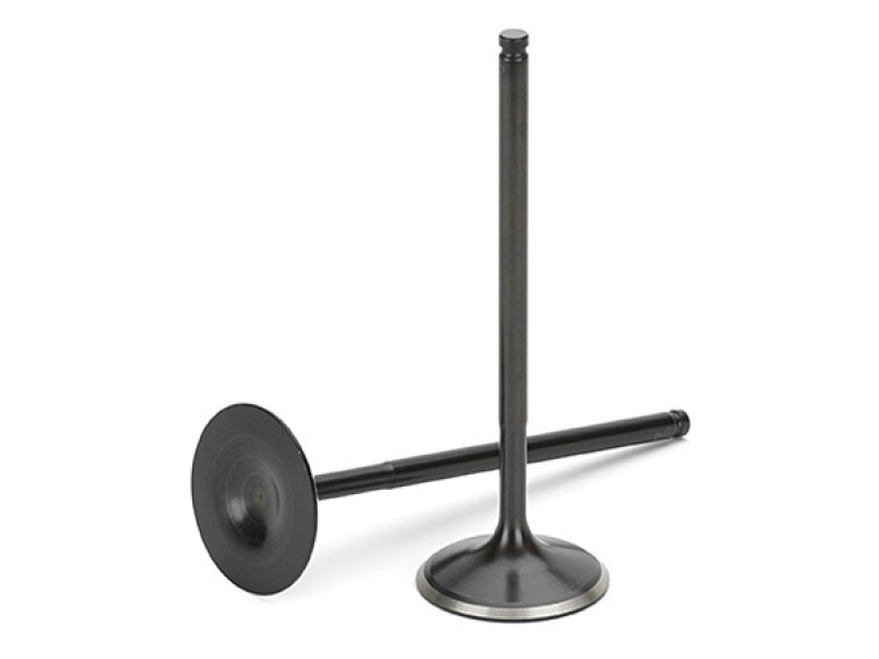 Supertech Ford Coyote 5.0L Black Nitrided Intake Valve - Single