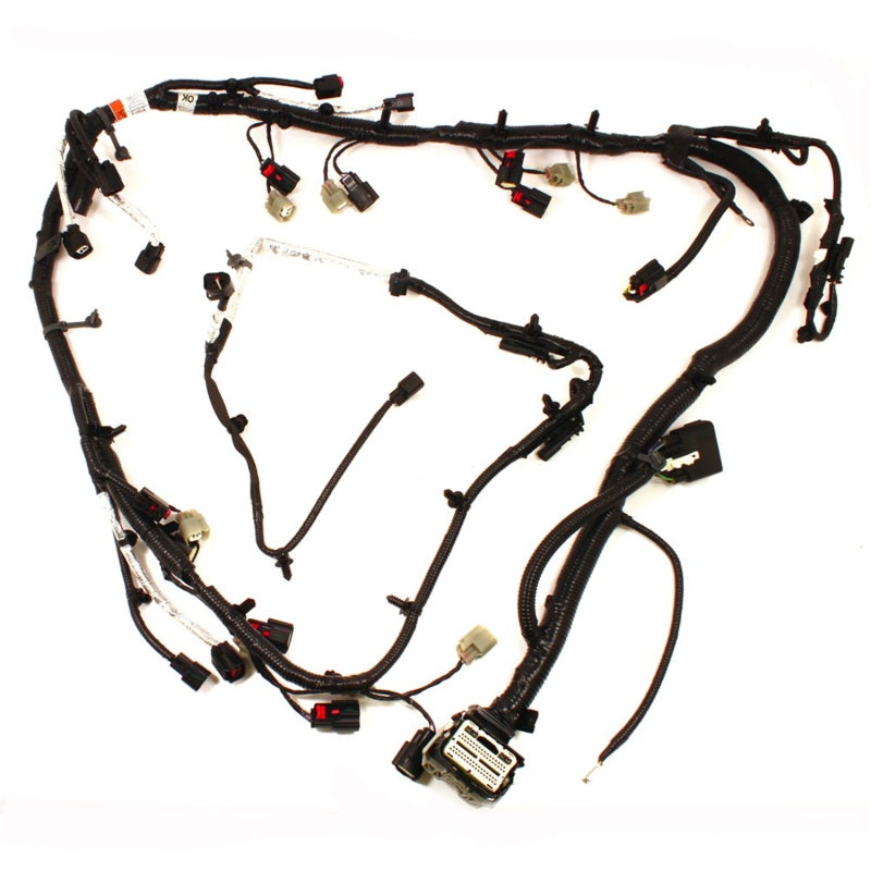 Ford Racing 5.0L Coyote Engine Harness