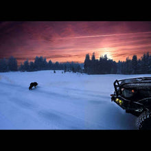 Load image into Gallery viewer, Road Armor 12-15 Toyota Tacoma Stealth Front Winch Bumper w/Lonestar Guard - Raw